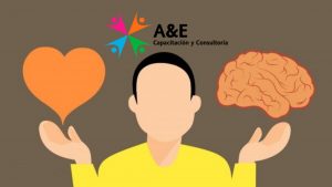 Congruencia Organizacional